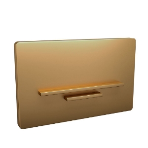 Picture of Control Plate Laguna - Gold Matt PVD