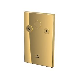 Picture of In-wall i-ﬂushing system - Auric Gold