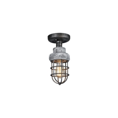 الصورة: 1 LT Cage type  Ceiling Light