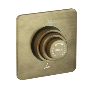 Picture of Metropole Dual Flow In-wall Flush Valve - Antique Bronze