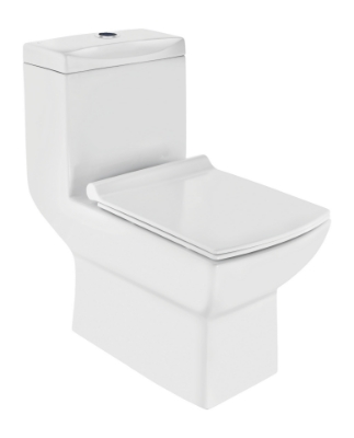 الصورة: Single Piece WC 