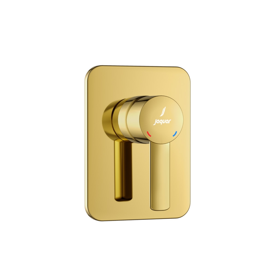 صورة Exposed Part Kit of Single Lever In-wall Manual Valve - Gold Bright PVD