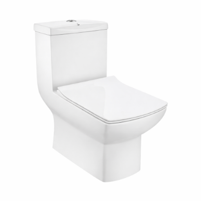 الصورة: Rimless Single Piece WC