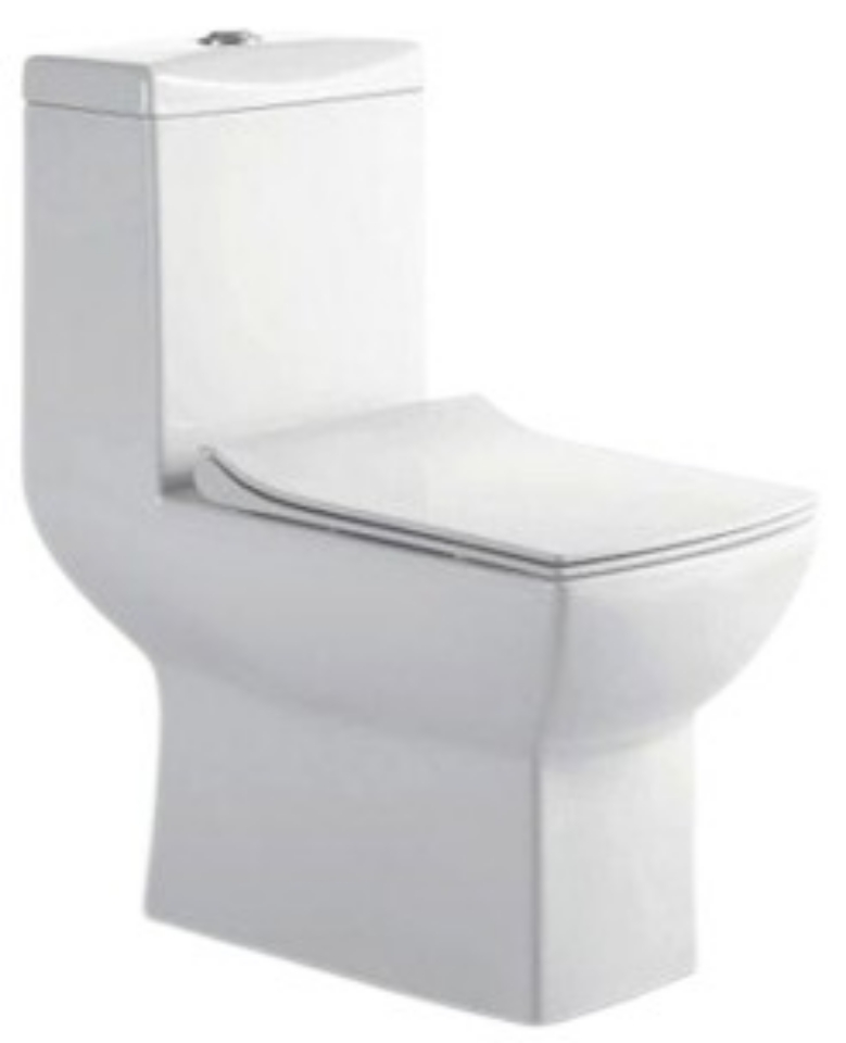 صورة Rimless Single Piece WC