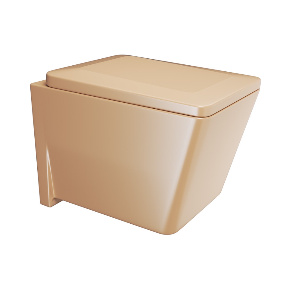 صورة مرحاض معلّق بلايند انستاليشن بدون إطار