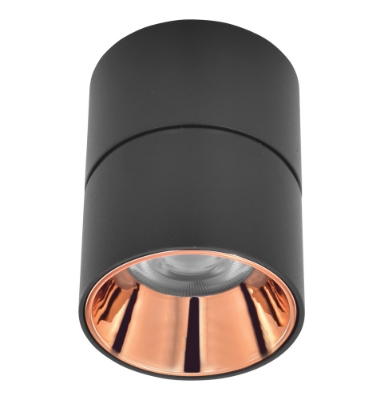 الصورة: إيريس سطحي مستدير